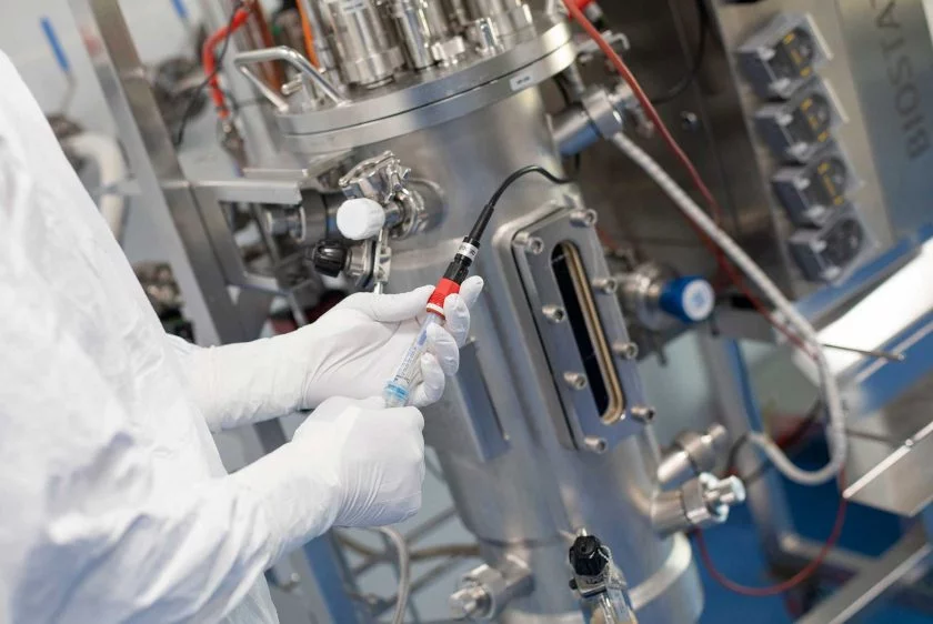 plasmid_manufacturing